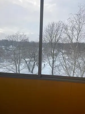 a view of a snowy field from a window at Apartment in Šiauliai in Šiauliai