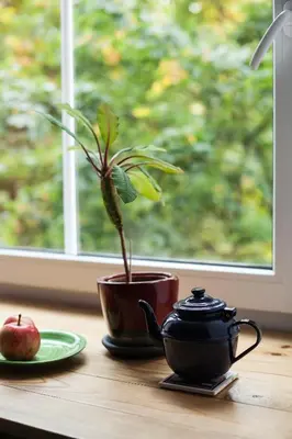 a plant in a pot on a table with an apple at #stayhere - Stylish Studio Close to Old Town in Vilnius