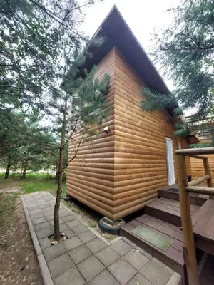 a small wooden house with a porch and a tree at Pasakų pirtelė in Vilnius