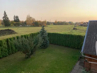 a christmas tree in a yard next to a hedge at Saldus sapnas in Rokiškis