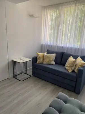 a blue couch in a living room with a window at Marijos apartamentai in Birštonas