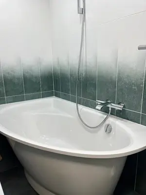 a bath tub with a shower in a bathroom at Marijos apartamentai in Birštonas
