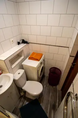 a bathroom with a toilet and a sink at Jaukus butas pačioje miesto širdyje in Šiauliai
