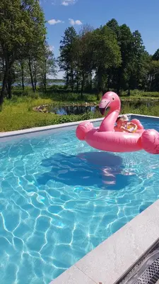 a pink flamingo float in a swimming pool at Poilsiaviete Vakaris in Gudeliai