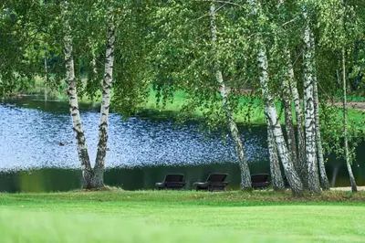 two chairs sitting next to a lake with trees at Užutrakio rezidencija in Trakai