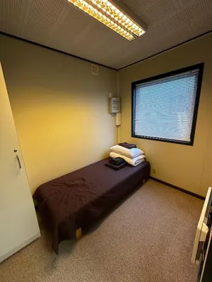 a bedroom with a bed in a room with a window at Dvaro namai in Norgėlai
