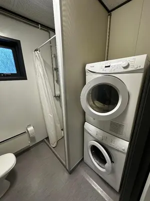 a bathroom with a washing machine and a toilet at Dvaro namai in Norgėlai