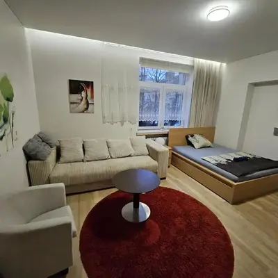 Kauno apartamentai big room king size bed
