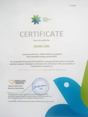 a white resume with a blue flower on it at Domi Lini in Druskininkai