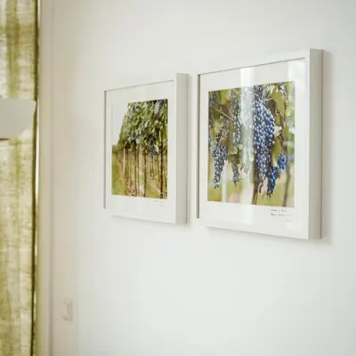 three framed photographs on a white wall at Domi Lini in Druskininkai