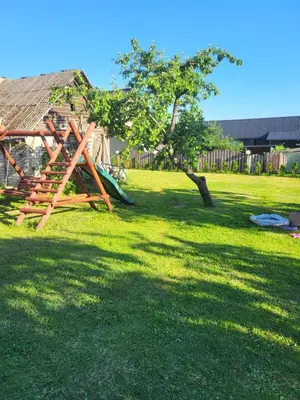 a playground in a yard with a tree and a slide at Šimtametis namelis in Anykščiai