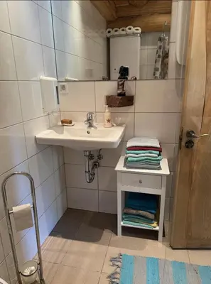 a bathroom with a sink and a mirror at Kaimo sodyba Dešimt Beržų in Gudžioniai