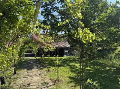 a garden with trees and a building in the background at Kaimo sodyba Dešimt Beržų in Gudžioniai