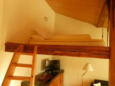 a bedroom with a bunk bed with a ladder and a television at Daukanto Apartments in Vilnius