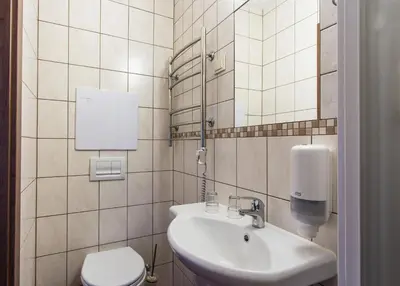 a bathroom with a sink and a toilet at Sodyba Ignė in Druskininkai