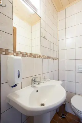 a bathroom with a sink and a toilet at Sodyba Ignė in Druskininkai