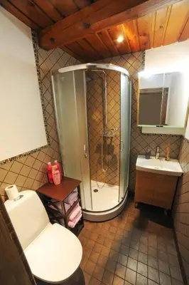 a bathroom with a shower and a toilet and a sink at Karčema Ružava in Molainiai