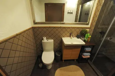 a bathroom with a toilet and a sink and a mirror at Karčema Ružava in Molainiai