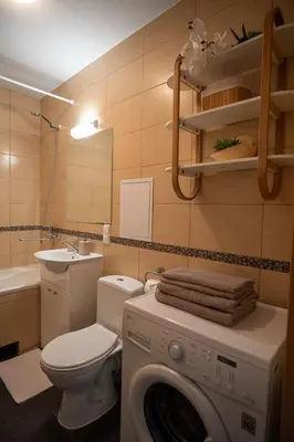 a bathroom with a washing machine and a toilet at Loft apartment in Druskininkai