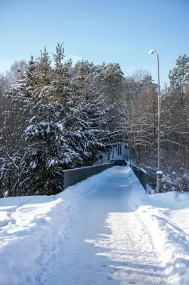 a snow covered road with a street light and trees at Loft apartment in Druskininkai
