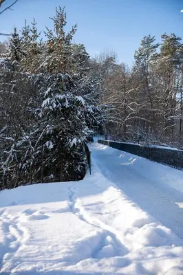 a snow covered road with trees and a fence at Loft apartment in Druskininkai