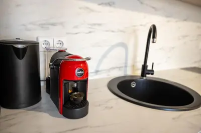 a red appliance sitting on a counter next to a sink at Loft apartment in Druskininkai