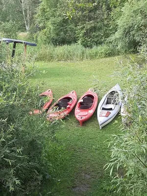 a group of four canoes sitting on the grass at Daugirdėnų sodyba in Didžiuliai