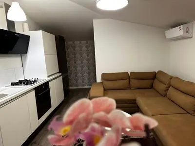 a small living room with a couch and a kitchen at Cosy apartment in Kaunas