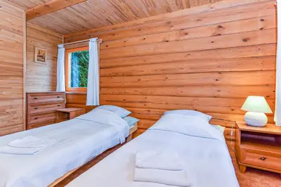 two beds in a room with wooden walls at Aerodream Trakai in Antakalnis