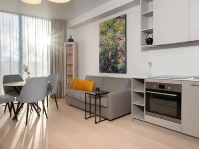 a kitchen and living room with a couch and a table at Butique Apartamentai Birštone - Holistic Skin & Wellness SPA Apartments - Inovatyvios dermatologijos centras in Birštonas