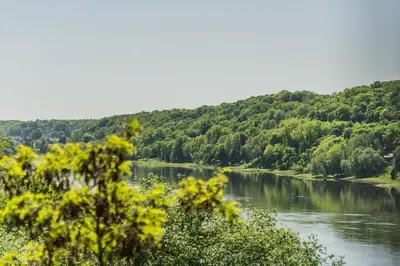 a view of a river with trees in the background at Kaunorama Riverside Suite in Kaunas