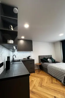 a kitchen and living room with a bed in a room at Hygge Apartments in Druskininkai