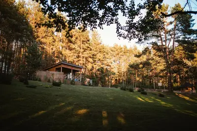 a house in the middle of a field with trees at Miško kraštas in Vileikiai