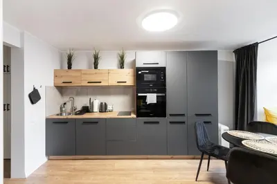a kitchen with gray cabinets and black appliances at Newly Refurbished Lukiskiu Square Apartment by Reside Baltic in Vilnius