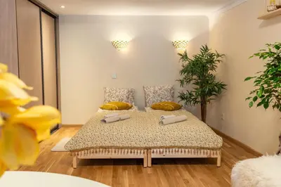 a bedroom with a bed with two pillows at Cozy Suite Roomita in Vilnius