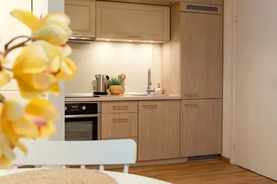 a kitchen with wooden cabinets and a stove top oven at Cozy Suite Roomita in Vilnius