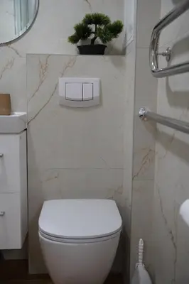 a bathroom with a toilet and a plant on the wall at Studio Anna in Panevėžys