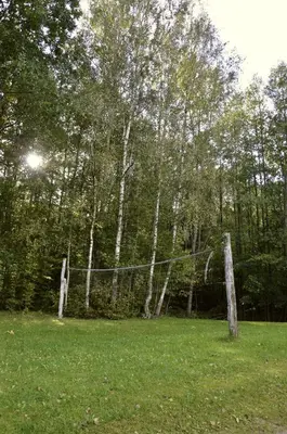a net in the middle of a field with trees at Užukalnio sodyba in Užuguostis