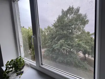 a window with a view of a tree at Apartamentai JOLA in Vilkaviškis