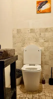a bathroom with a toilet and a painting on the wall at Inovatorių slėnis/ Innovators' valley in Antalieptė