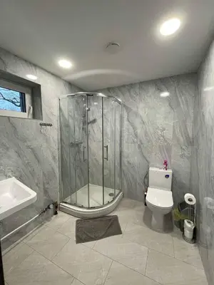 a bathroom with a shower and a toilet and a sink at Vaižganto Namas House for rent in Raseiniai