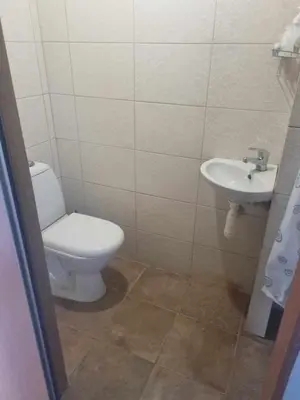a bathroom with a toilet and a sink at Svečiu Namai in Pagiriai