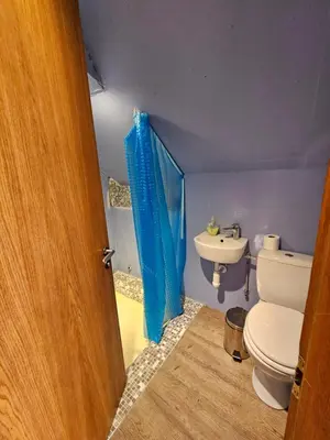 a bathroom with a toilet and a sink at Svečiu Namai in Pagiriai