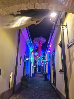 an alley with purple and blue lights in a city at Angel Wing Apartamentai in Vilnius
