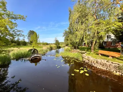 a boat on a river with a bench in a park at Pakalnės sodyba in Skverbai