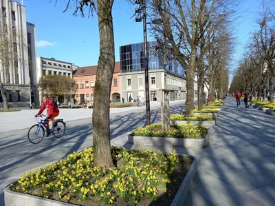 a person riding a bike down a street with trees at Tiny center G studio in Kaunas