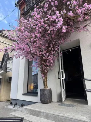 a tree with pink flowers in a pot in front of a building at Laurentroom Hotel in Ukmergė