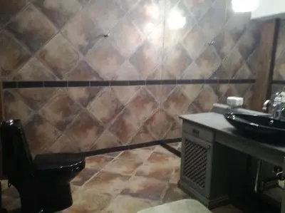 a bathroom with a sink and a toilet at Forest apartment in the loop of the river Neris in Verkšonys