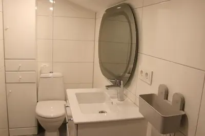a bathroom with a toilet and a sink and a mirror at Pakalnės sodyba in Skverbai