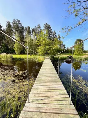 a wooden bridge over a lake at Pakalnės sodyba in Skverbai